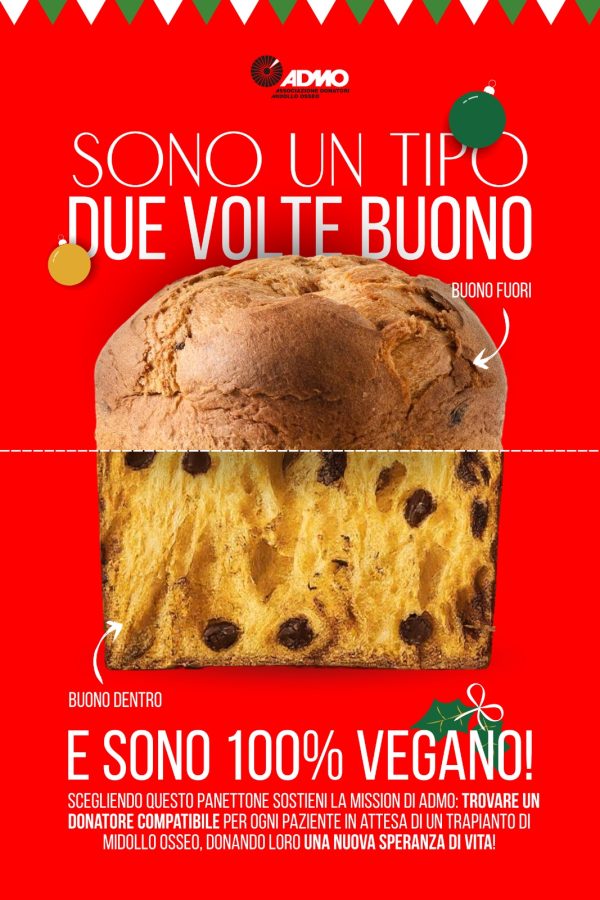 Pandolce vegano - immagine 2
